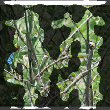 layer2-388