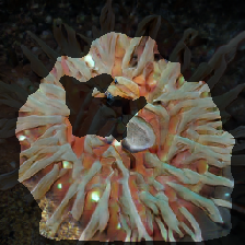 layer2-388