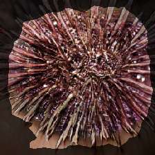 layer2-388