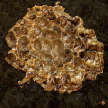 layer2-582