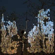 layer3-216