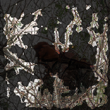 layer3-216