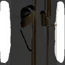 layer2-33