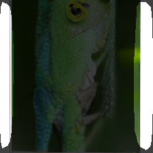 layer2-33