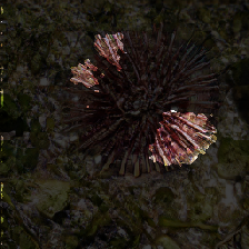 layer3-18