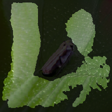 layer3-20
