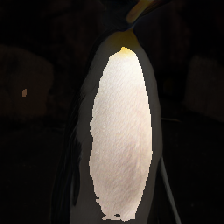 layer3-20