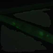 layer3-220