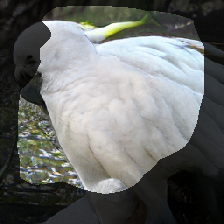layer1-411