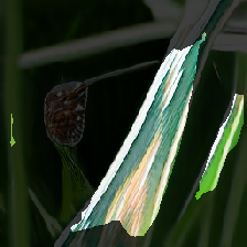 layer2-395