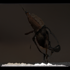 layer3-223