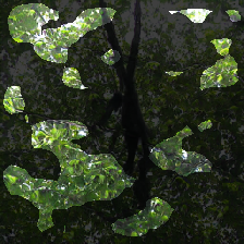 layer2-41