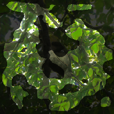 layer2-41