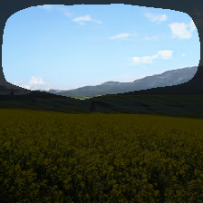 layer1-416
