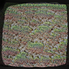 layer2-42