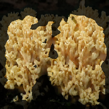 layer2-398