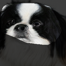 layer1-419
