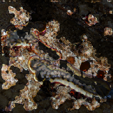 layer3-29