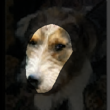 layer1-420