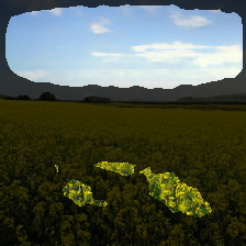 layer2-596