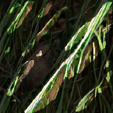 layer2-597