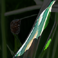 layer2-597
