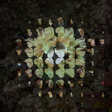 layer2-47