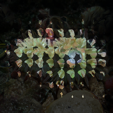 layer2-47