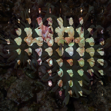 layer2-47