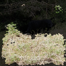 layer3-232