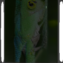 layer2-403