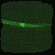 layer2-601
