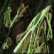 layer2-51