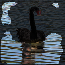 layer2-51