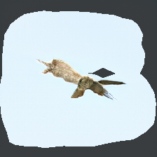 layer1-427