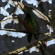 layer3-235