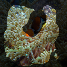 layer1-428
