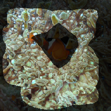 layer1-428