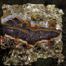 layer2-407