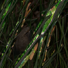layer3-38