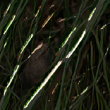layer3-239