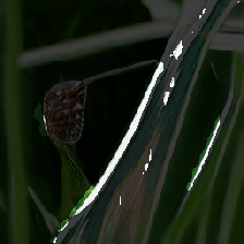layer3-40