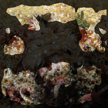 layer2-604
