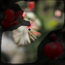 layer2-412