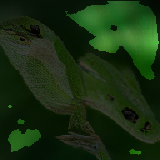 layer3-43