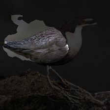 layer2-606