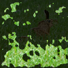 layer3-242