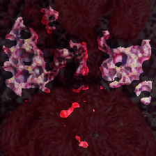 layer3-242