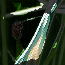 layer2-414