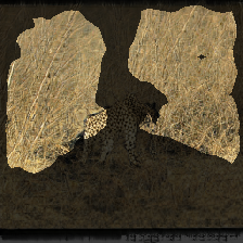 layer2-414